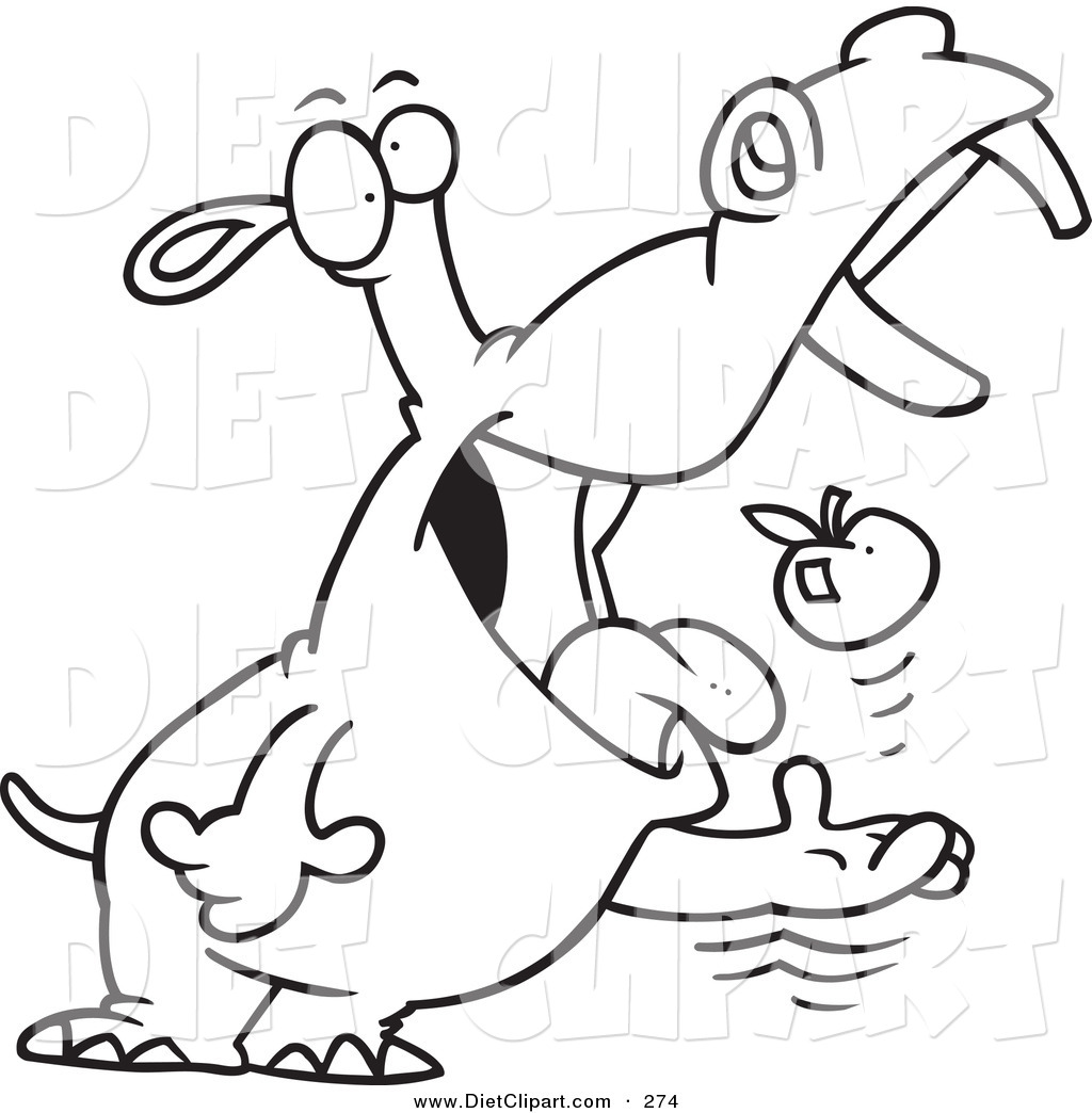 1024x1044 Line Drawing Of Hippo Images