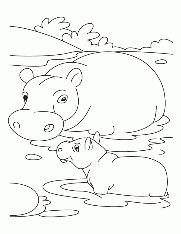 612x792 Pictures Of Hippos