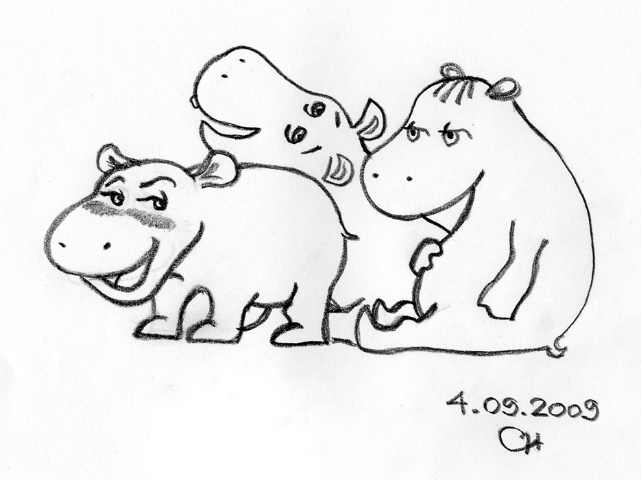 935x700 The World's Best Photos Of Hippopotamus And Sketch