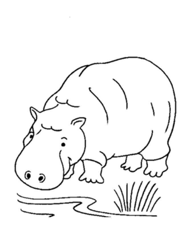 670x820 Wild Animal Coloring Page Hippopotamus Coloring Page Gifties