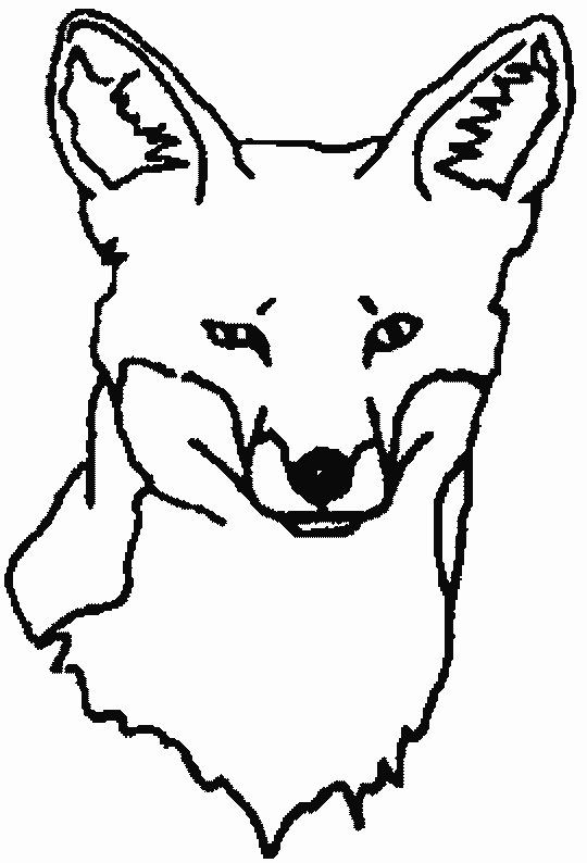 540x794 Hipster Coloring Fox Coloring Pages Coloring Pages
