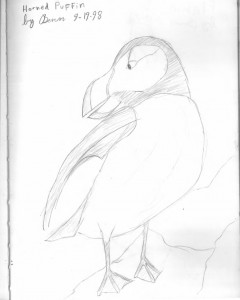 240x300 Drawing Animals