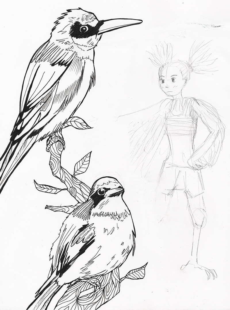 800x1078 Katie Macon Bird Drawings