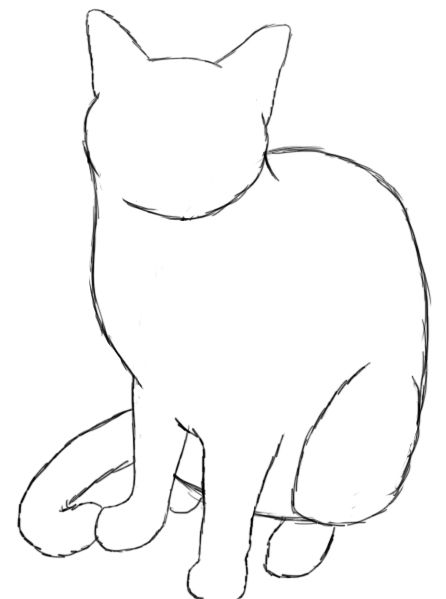 446x599 How To Draw A Cat Cat Drawing, Cat And Draw