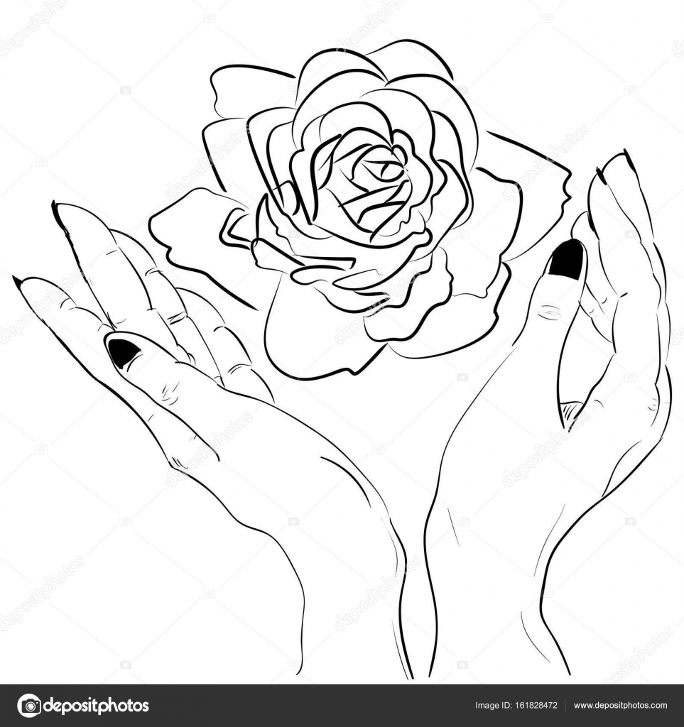 963x1024 Hands Holding A Rose Flower Isolated Outline Stock Vector