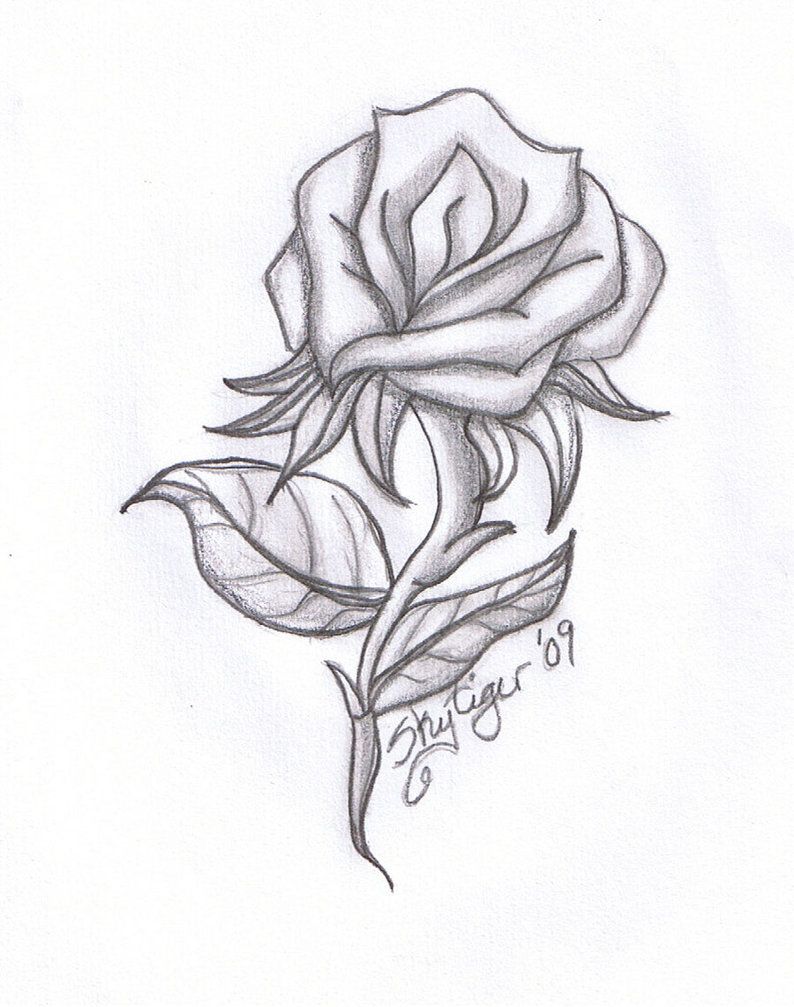 794x1007 Pictures Pencil Drawings Of Roses And Hearts,