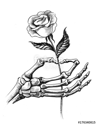 388x500 Skeleton Hand Holding A Rose Stock Photo And Royalty Free Images