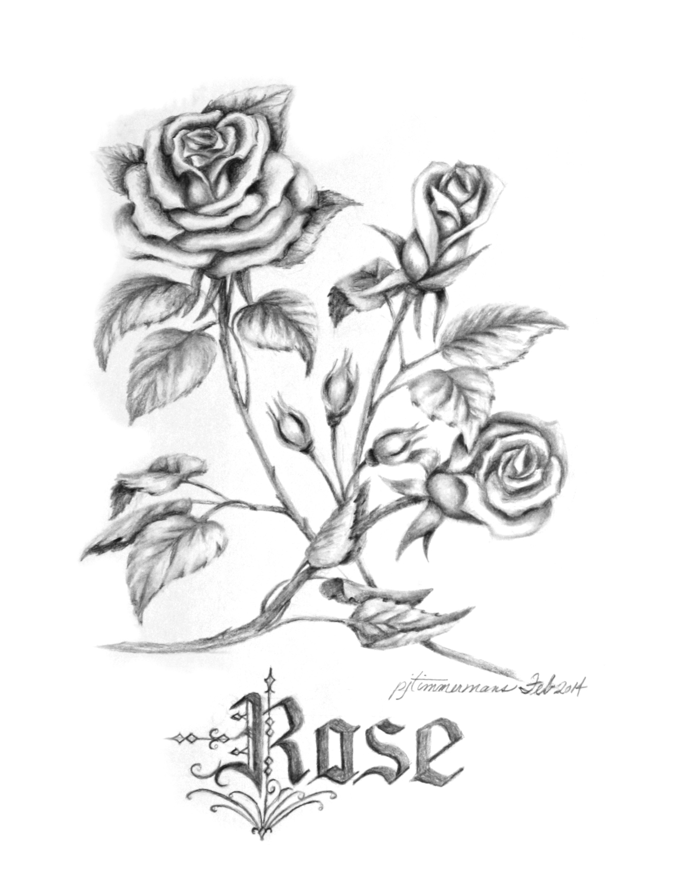 1344x1740 Drawing Flowers