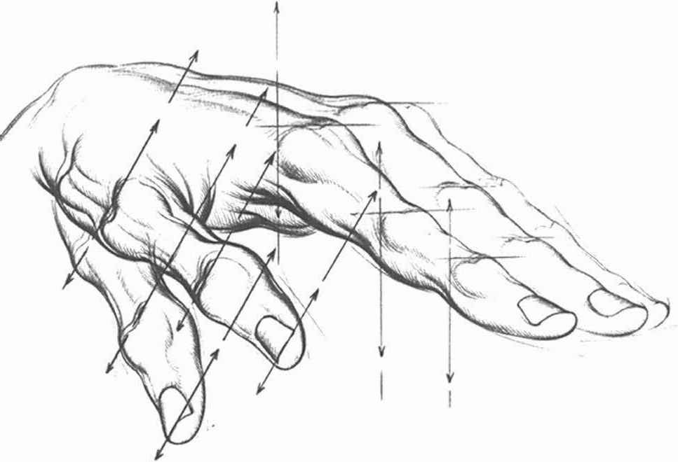 967x660 Side View Angles