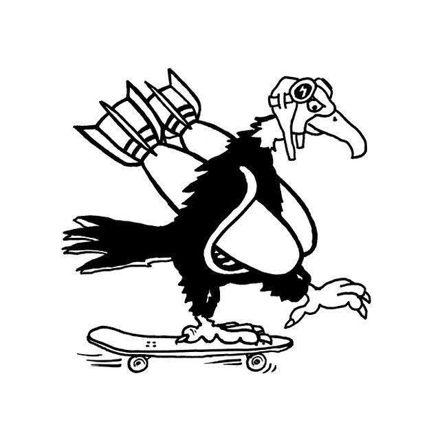 640x640 61 Best The Snake Hole Images On Snake, Snakes