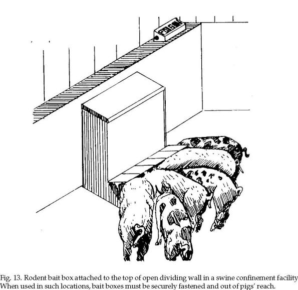 595x578 Rat Holes In Ground