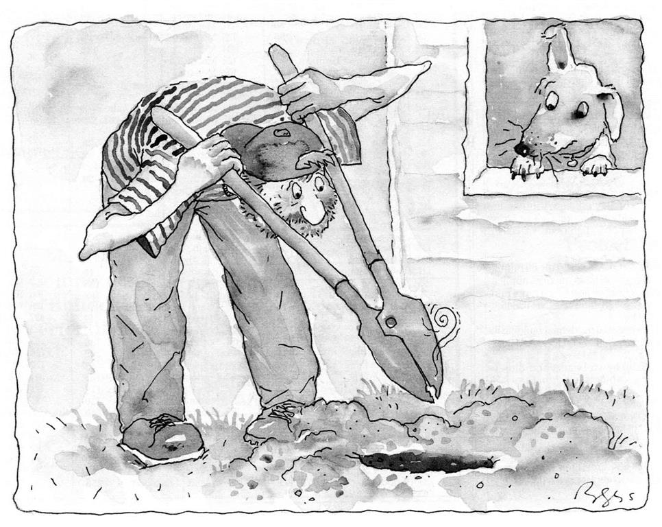 966x768 Temposenzatempo Mister Jeff