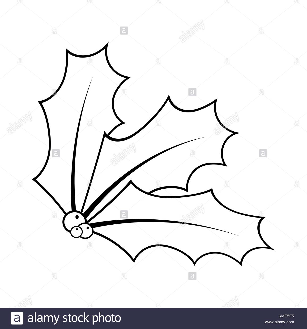 1300x1390 Holly Berries Black And White Stock Photos Amp Images