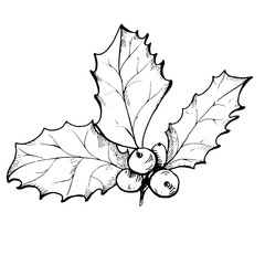 240x240 Search Photos Holly