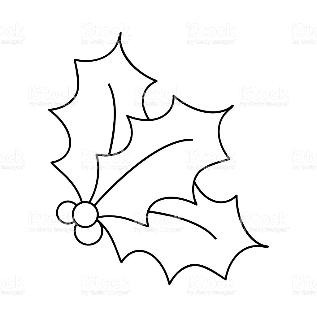 1024x1024 Gallery Holly Berry Drawing,