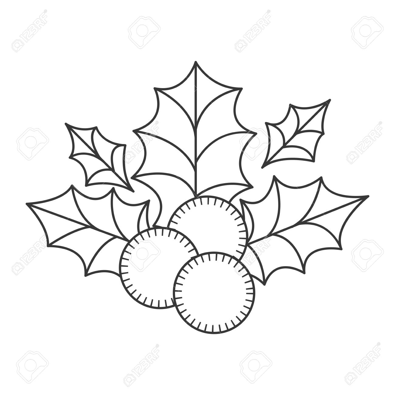 1300x1300 Holly Berry Christmas Decoration. Sketch And Draw Design. Vector