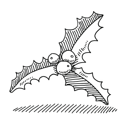 414x414 Holly Berry Christmas Drawing Inspiration