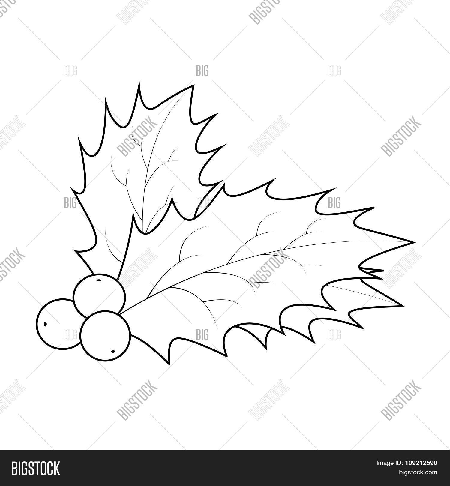 1500x1620 Holly Berry Silhouette, Christmas Vector Amp Photo Bigstock