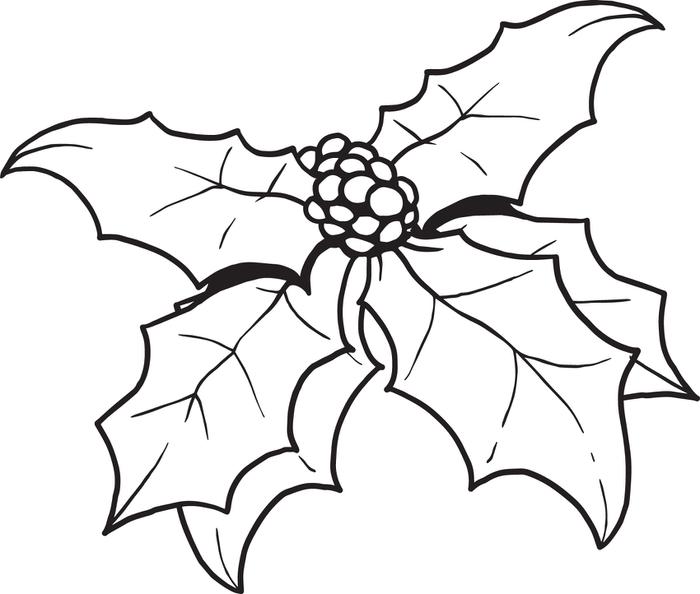 700x594 Free Printable Christmas Holly Coloring Page For Kids
