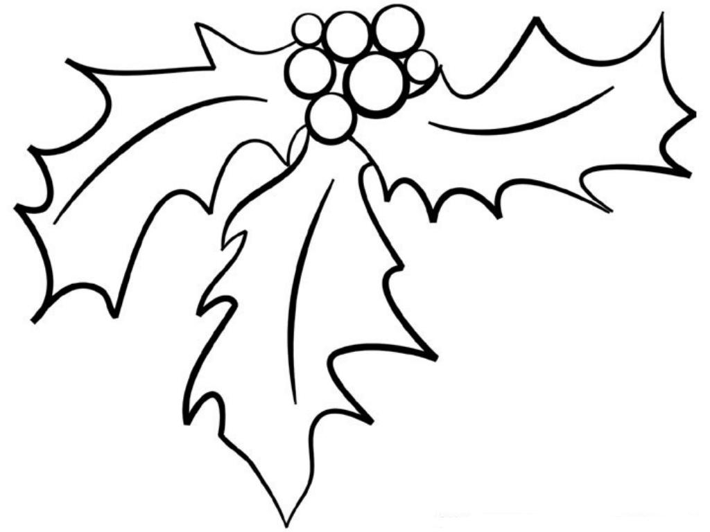 1024x768 Holly Coloring Page