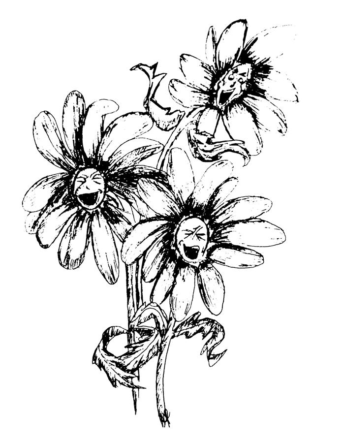 695x900 Laughing Daisy Drawing By Holly Marie