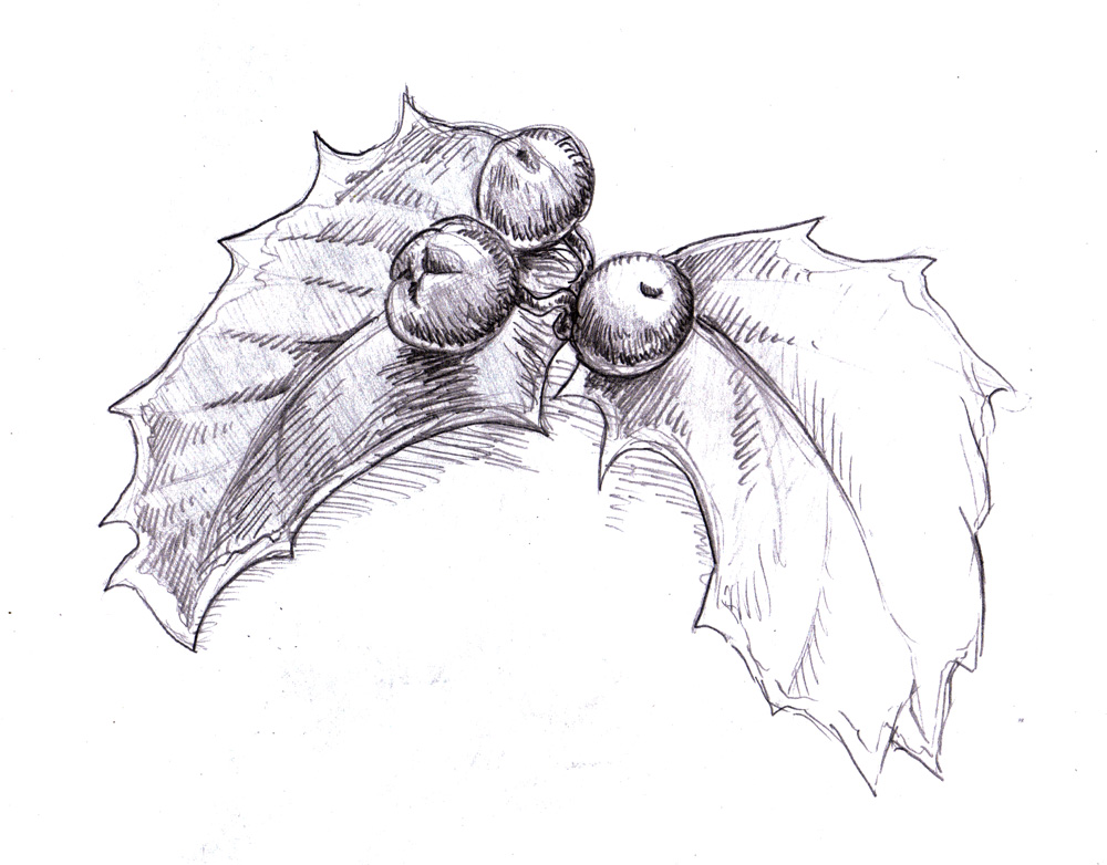 1000x782 Magellin Blog Holly Sketch