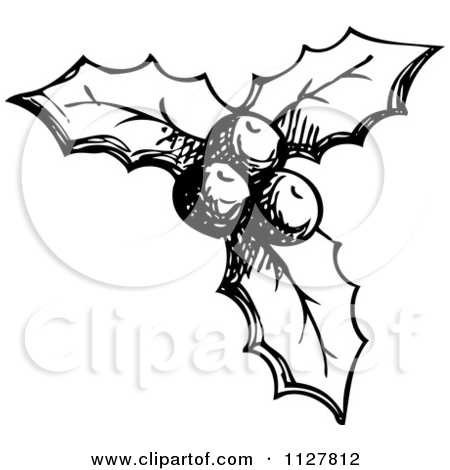 450x470 Cartoon Of Sketched Black And White Christmas Holly