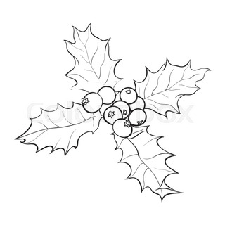 320x320 Mistletoe Branch With Leaves And Berries, Holly Berry Christmas