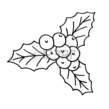 450x450 Holly Bushes With Berries Stock Photos. Royalty Free Business Images