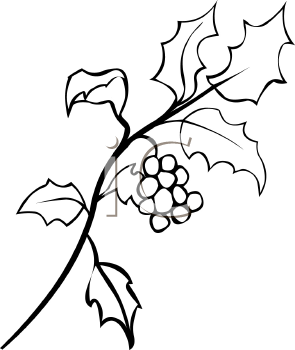 295x350 Holly Leaves Clipart Black And White