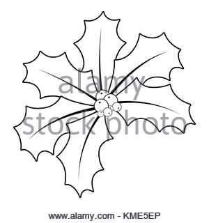 300x320 Holly Berry Outline For Christmas Isolated On Black Background