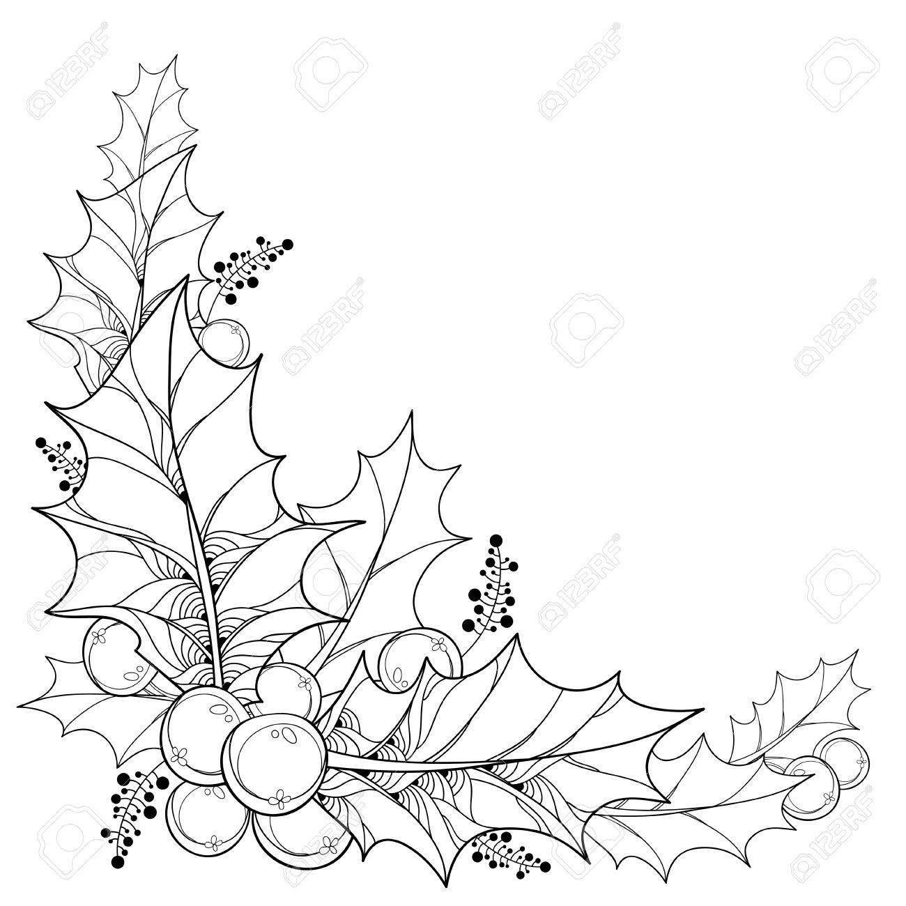 Holly Leaves And Berries Drawing at Free