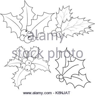 315x320 Christmas Decoration Leaves And Berries Outline Stock Vector Art