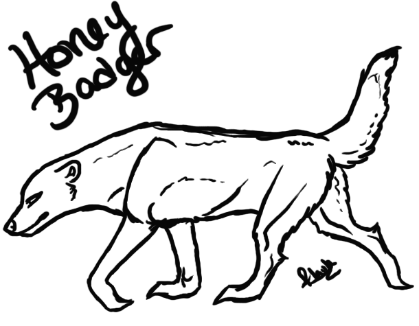 610x475 Honey Badger Template By Akante