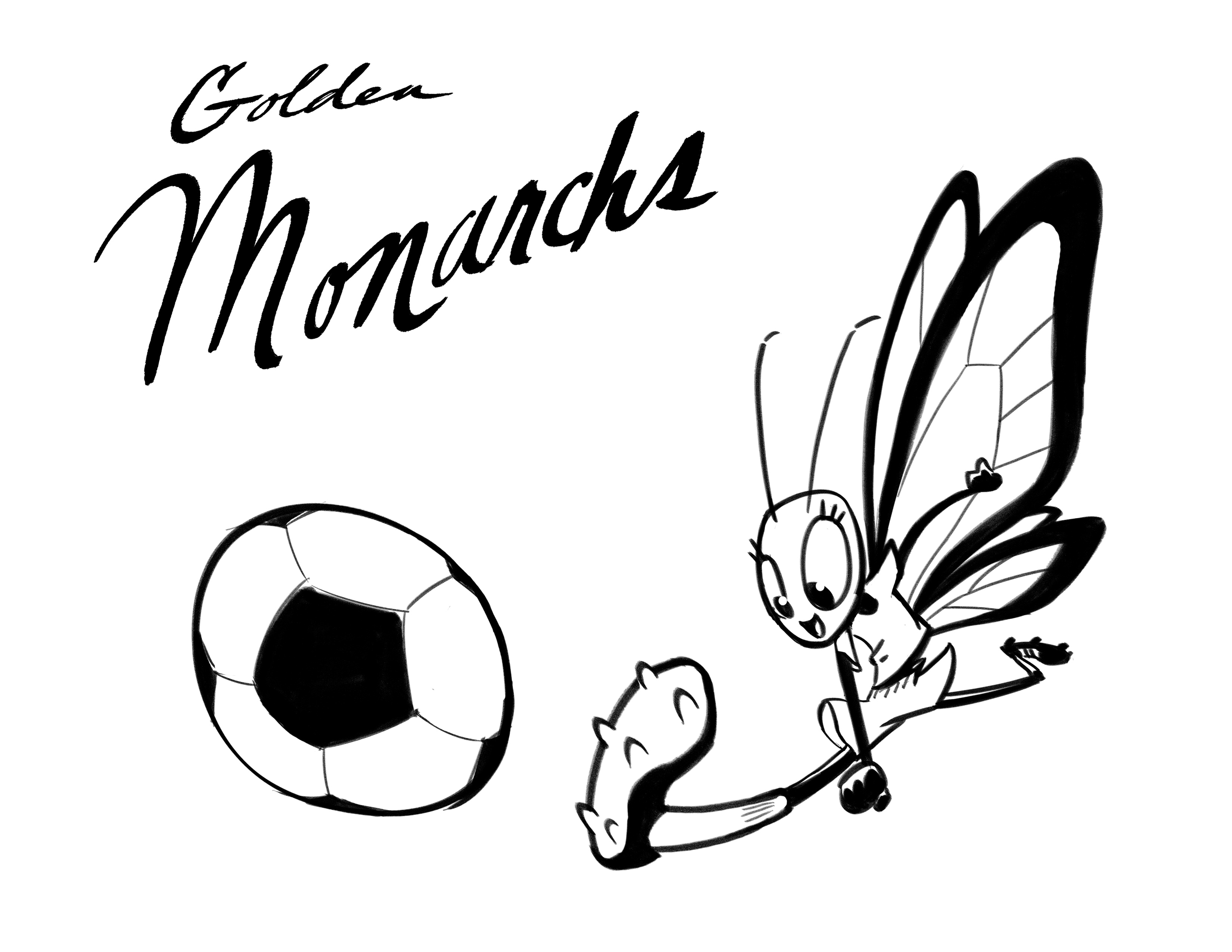 3300x2550 Soccer Team Logos David Knott