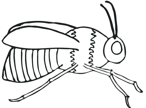618x459 Bee Pictures To Color Coloring Pages Draw A Bee Free Cute Bumble