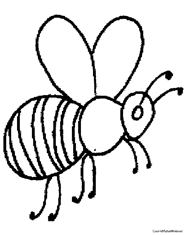 Honey Bee Drawing Cartoon At Getdrawings 