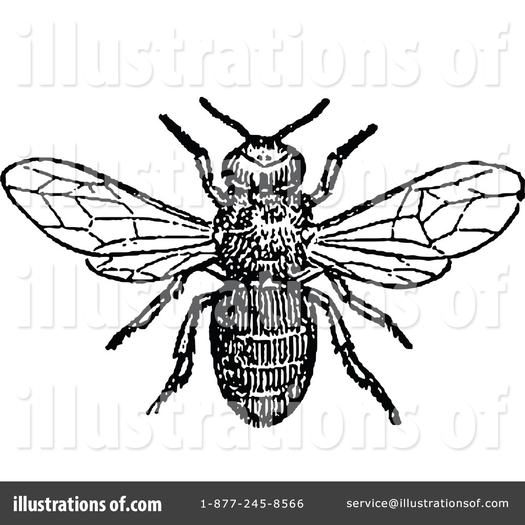 1024x1024 Bee Clipart