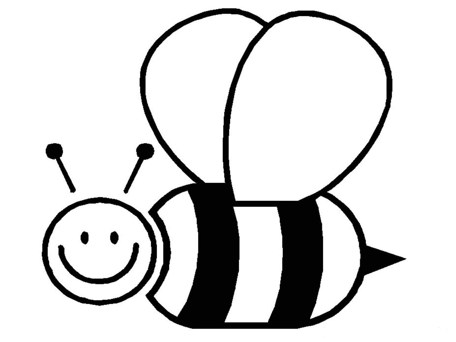 1600x1200 Bee