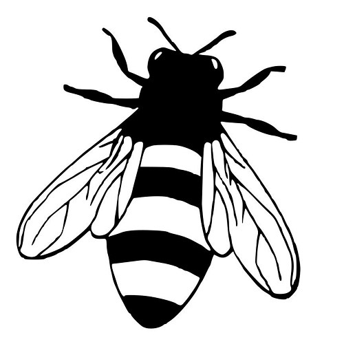 500x500 Honey Bee Die Cut Decal Car Window Wall Bumper Phone Laptop
