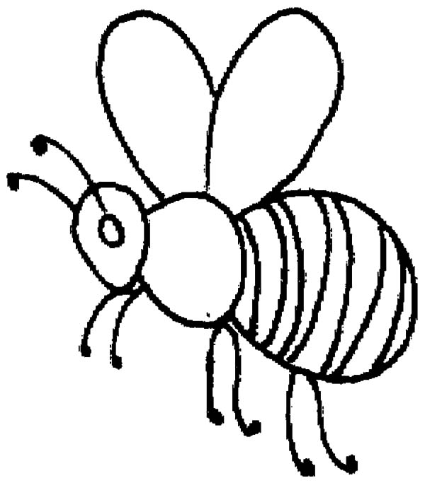 600x683 Honey Bee Outline Coloring Pages Honey Bee Outline Coloring Pages