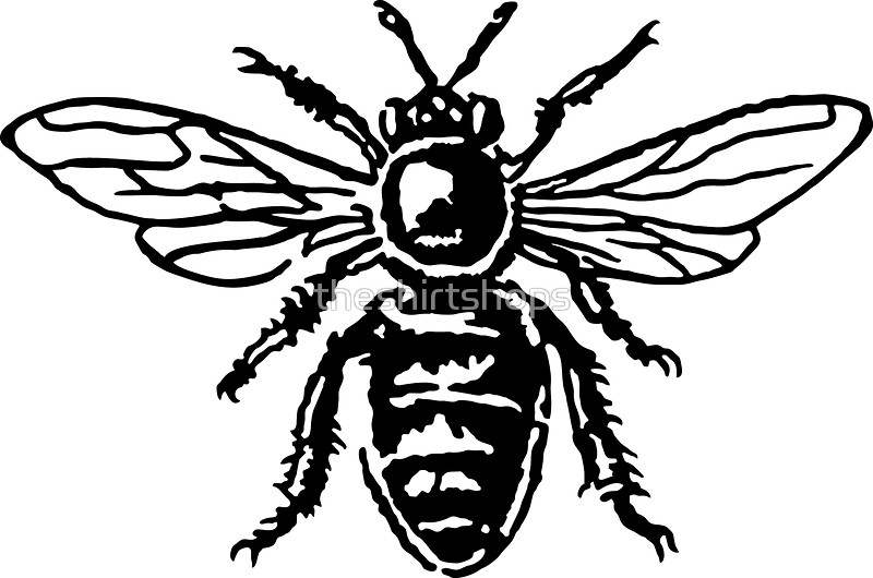 800x530 Honey Bee Stickers By Theshirtshops Redbubble