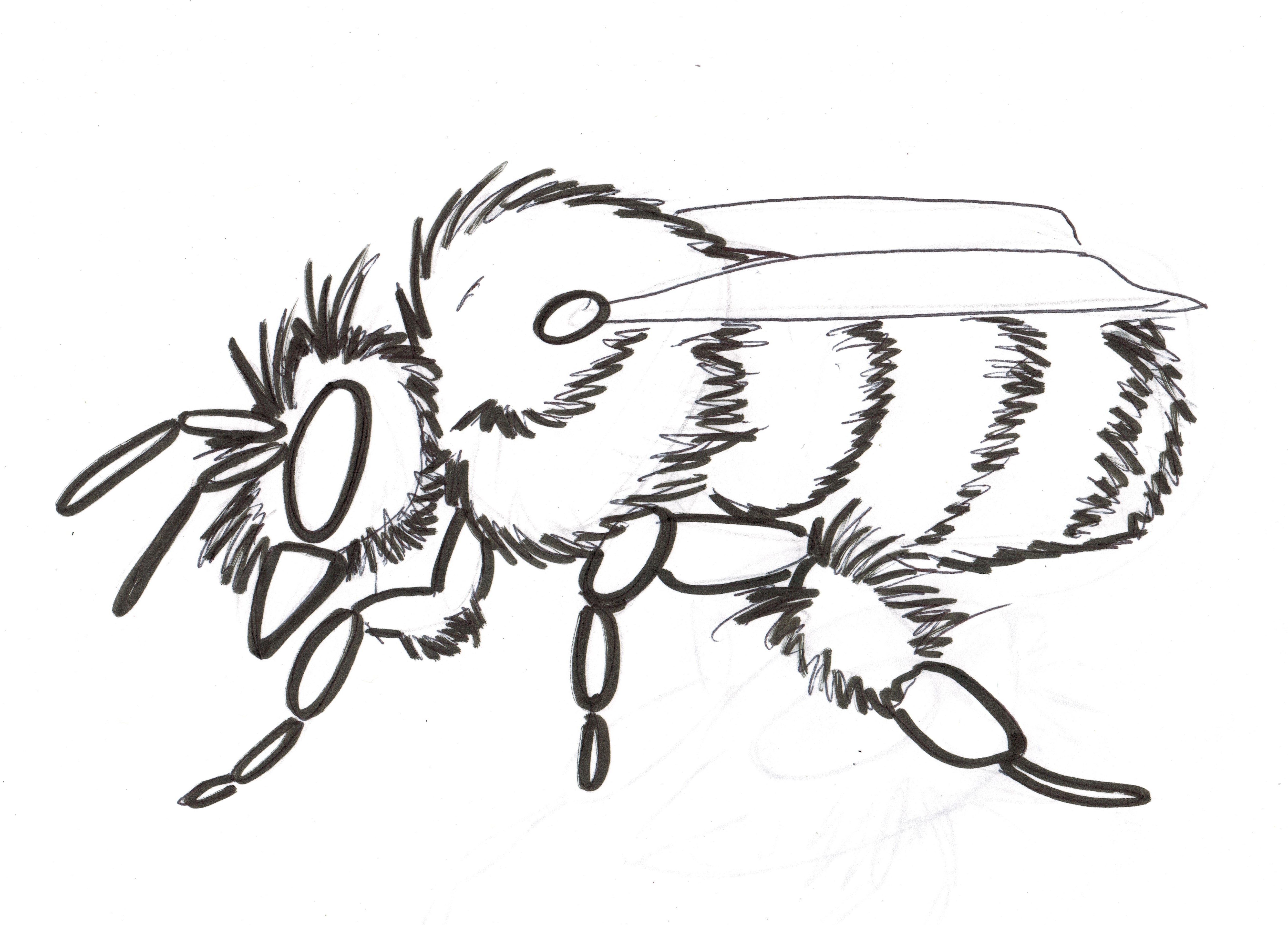 5277x3791 More) Simple Bee, Bird, And Flower Drawings Standingoutinmyfield