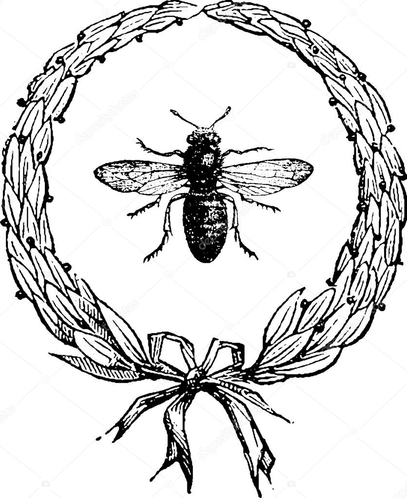 836x1023 Vintage Drawing Bee Stock Photo