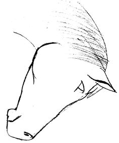 236x285 How To Draw A Horse