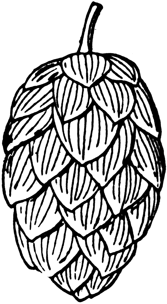 563x1024 Hop 20clipart Hops