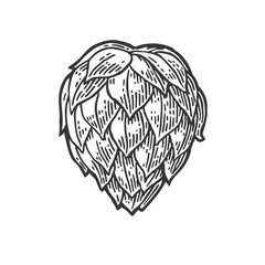 240x240 Search Photos Hop