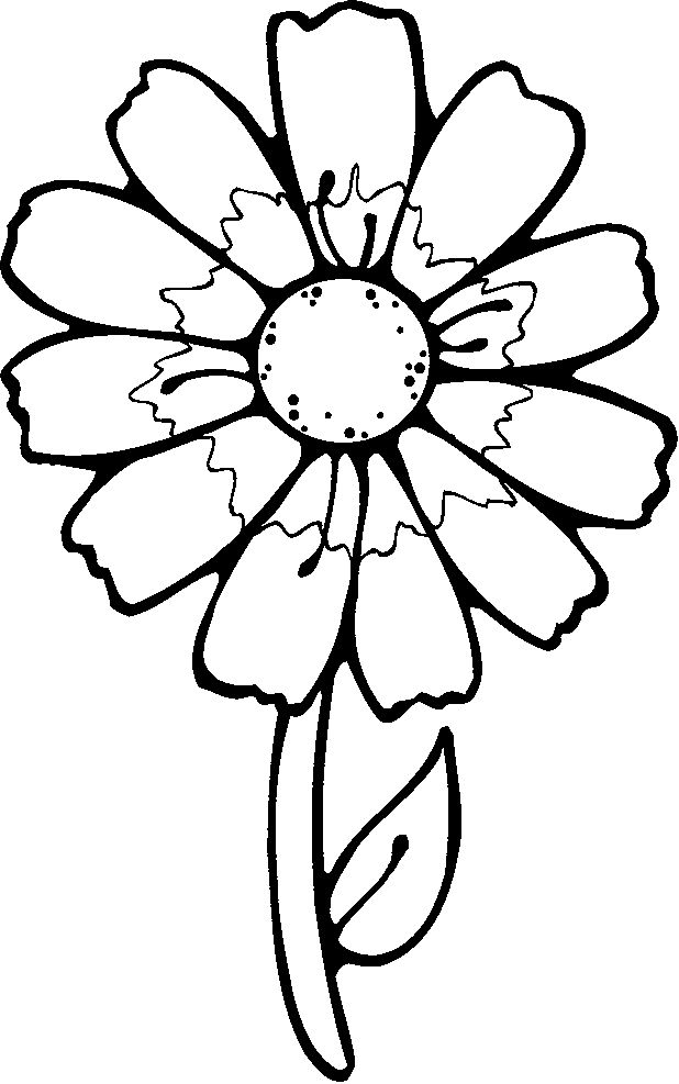 618x987 Flowers Coloring Page