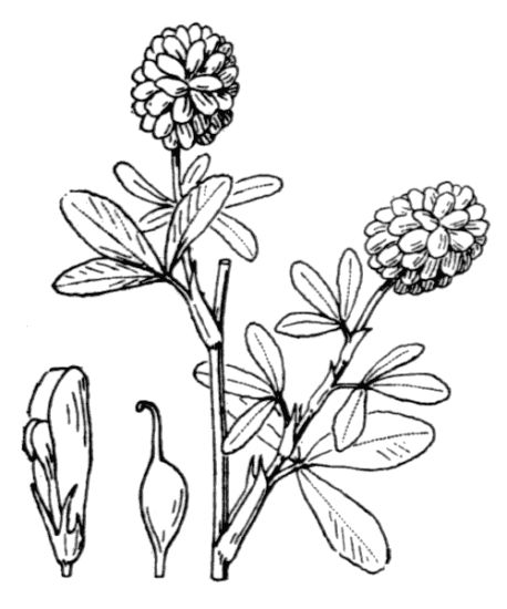 458x550 Photo Gallery 3