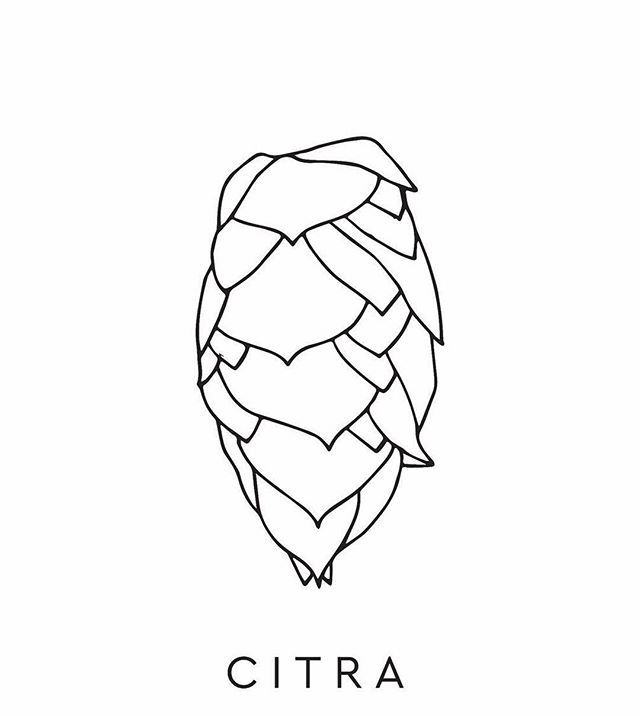 640x716 25 Best Hops Images On Free Clipart Images